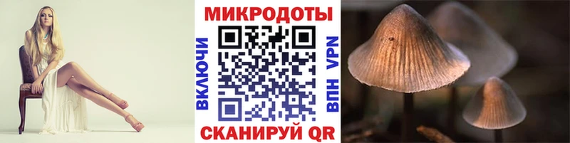 Псилоцибиновые грибы Psilocybe  Энгельс 